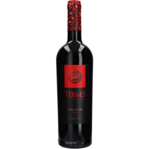 Bodega Numanthia Termes Toro 2018