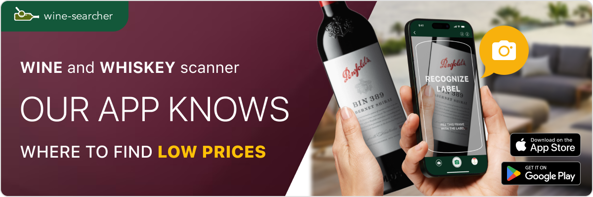 Complices De Loire Pouilly Fume Terres De Caillote 2022