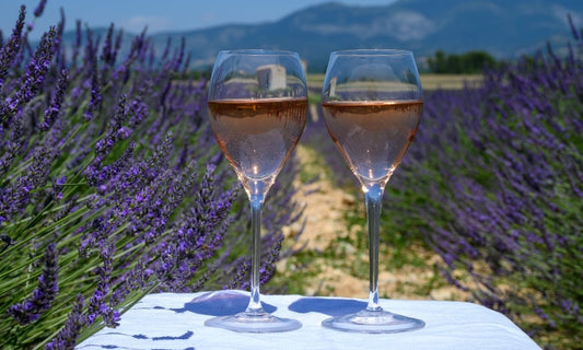 Figuiere Valerie Cotes De Provence White 2022