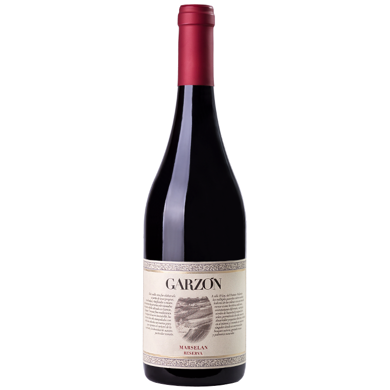 Garzon Marselan Reserva 2022