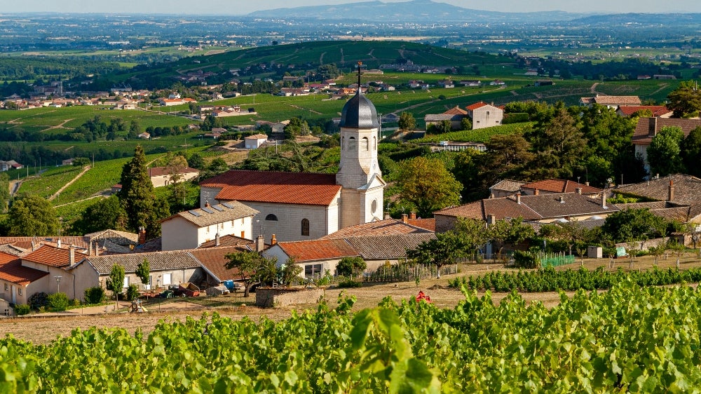 Mommessin Moulin A Vent Grandes Mises 2019