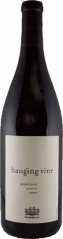 Hanging Vine Pinot Noir Parcel 22 2020