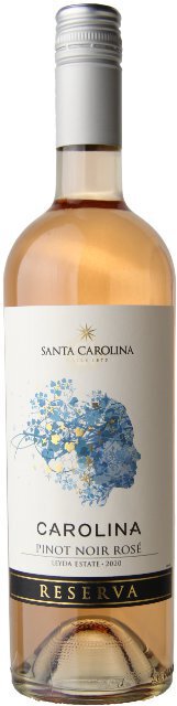 Santa Carolina Rose