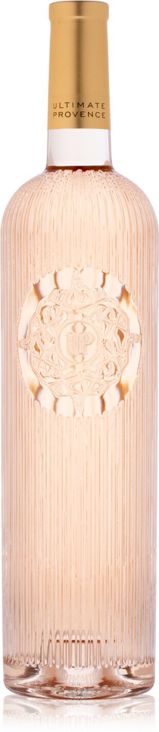 Ultimate Provence Up Rose