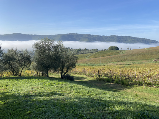 Capezzana Ghiaie D Furba Toscana Igt 2019