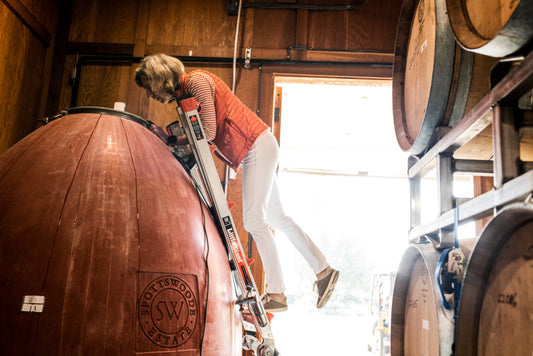 Foretell Fort Ross Seaview Pinot Noir 2013