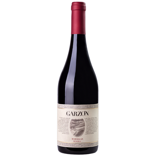 Garzon Marselan Reserva 2022
