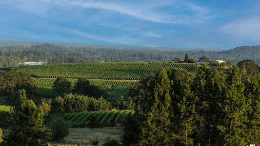 J Christopher Pinot Noir Nuage Chehalem Mountains 2014