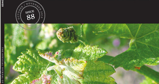 Millbrook Winery Encore Luxury Living Cabernet Sauvignon 2022