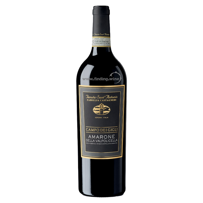 Sant' Antonio Amarone Campo Del Gigli 2017