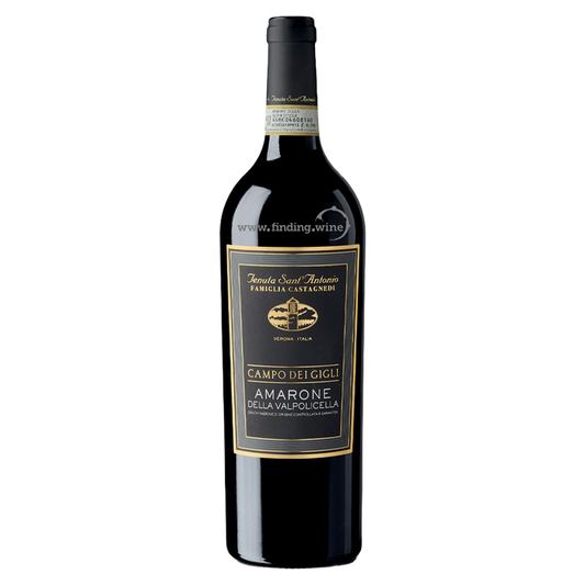 Sant' Antonio Amarone Campo Del Gigli 2017