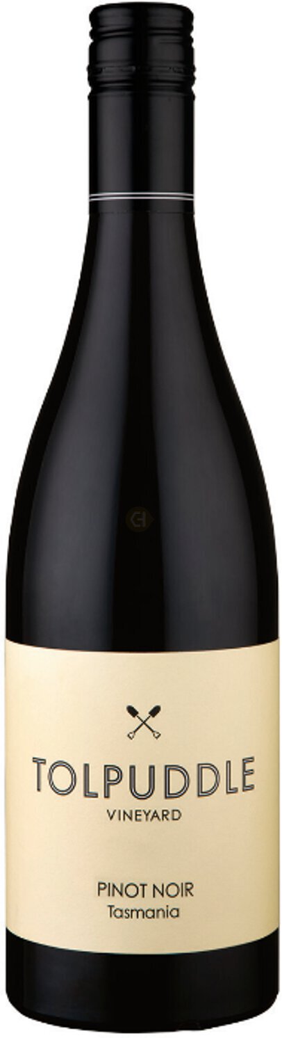 Tolpuddle Vineyard Pinot Noir 2022