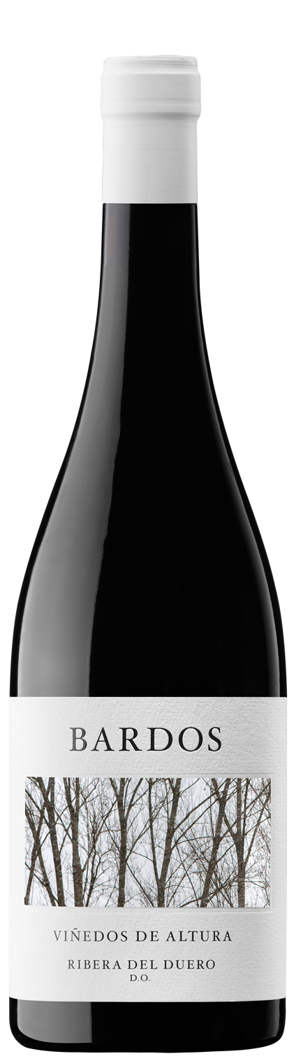 Bodega De Bardos Reserva 2019