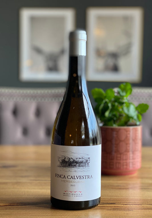 Bodega Mustiguillo Atance Bobal 2021