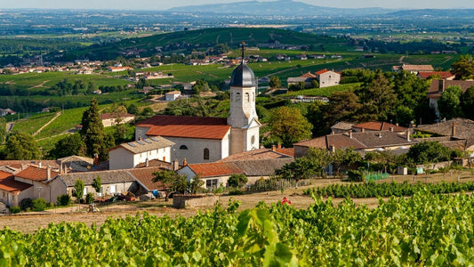 Mommessin Moulin A Vent Grandes Mises 2019