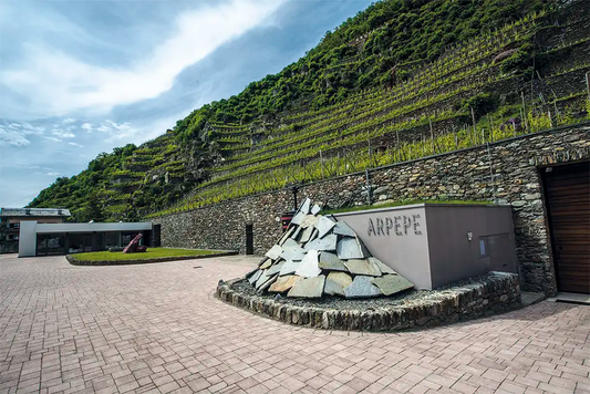 Tenuta Scersce Valgella Valtellina Sup Docg Ris 2019