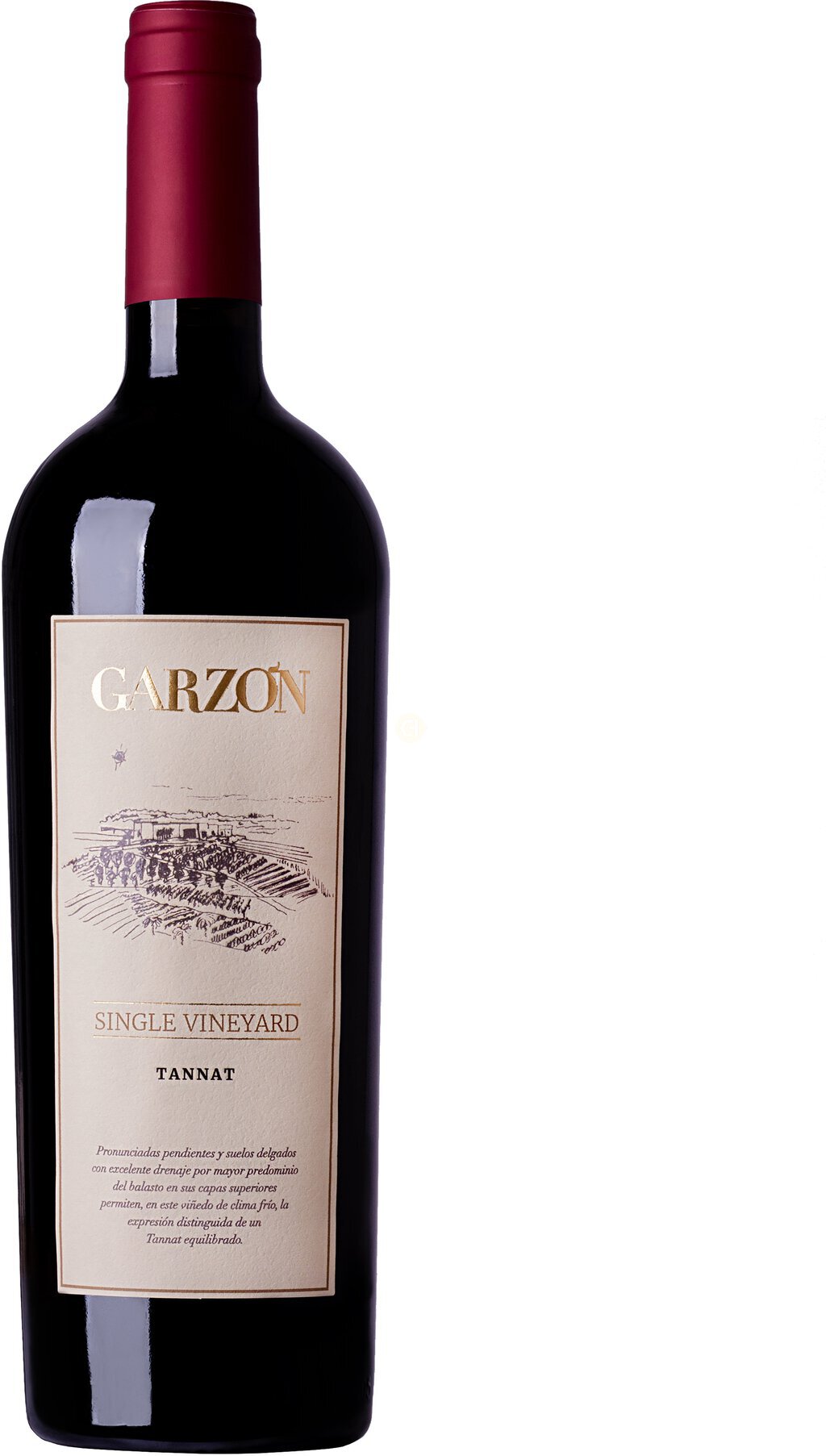 Garzon Single Vineyard Tannat 2020