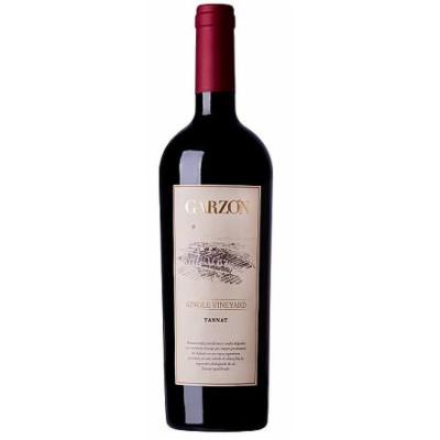 Garzon Single Vineyard Tannat 2020