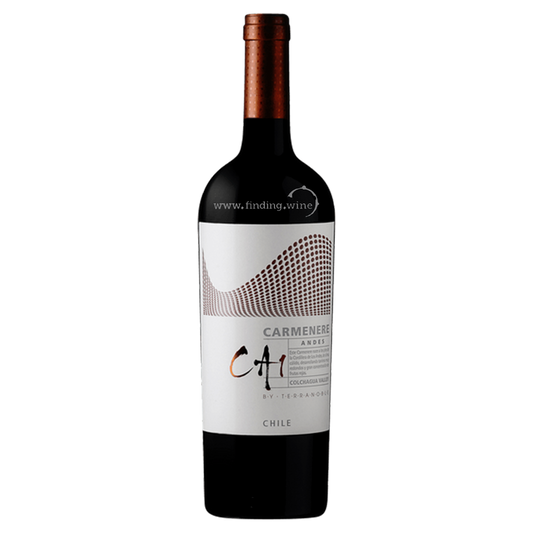 Terranoble Ca1 Carmenere Andes 2020