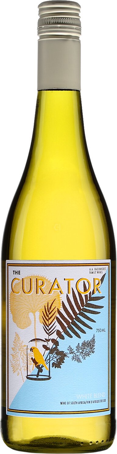 The Curator White 2023